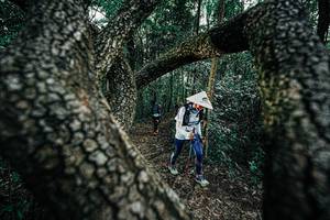 BIB: 
                            <button type="button" onclick="openModal(25392035)" class="btn btn-primary btn-sm float-right btn-popup" data-toggle="modal" data-target=".modal-high-quality">
                        <i class="fas fa-shopping-cart"></i> Add to Cart
                    </button>
                                            <button type="button" onclick="isThisMe(25392035, true)" class="btn btn-success btn-sm float-right btn-popup btn-isme hidden" data-toggle="tooltip" data-placement="bottom" title="นี่คือรูปของคุณใช่ไหม คลิกที่นี่เพื่อเอาเข้าอัลบั้ม">
                        <i class="fas fa-plus"></i> Add to album
                    </button>
                    <button type="button" onclick="isThisMe(25392035, false)" class="btn btn-warning btn-sm float-right btn-popup btn-isnotme hidden">
                        <i class="fas fa-ban"></i> Remove from album
                    </button>